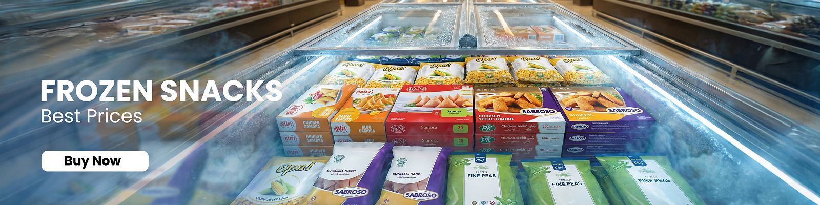 Frozen Food Banner